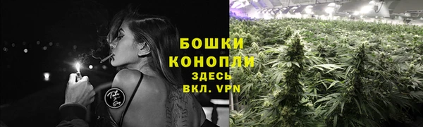 соль курить ск Верея