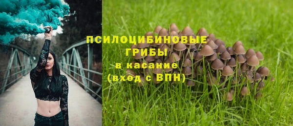 соль курить ск Верея