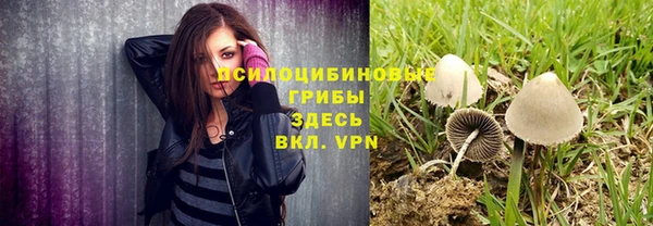 соль курить ск Верея